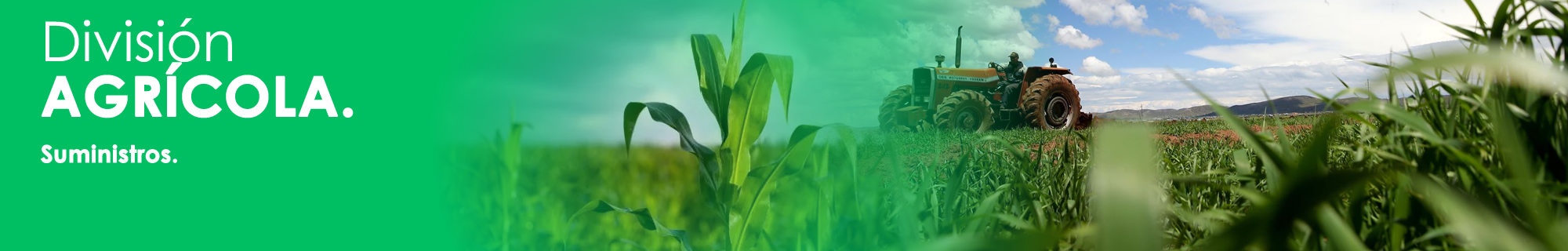 Agr&iacute;cola